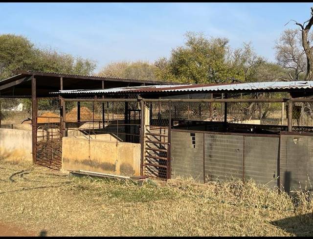 FARM FOR SALE IN THABAZIMBI